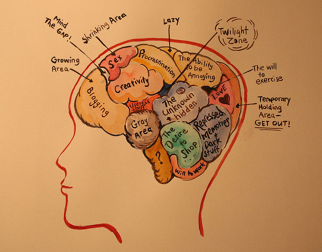 6 Lợi Ích Của Vẽ Tranh Đối Với Não Và Sức Khỏe Cần Biết