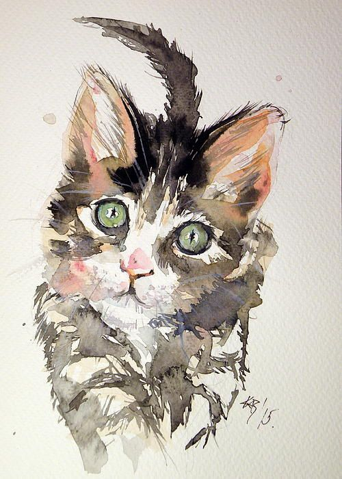 Bí quyết vẽ vẽ con mèo bằng màu nước độc đáo và đẹp mắt